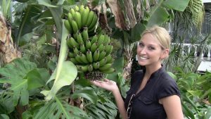 Leslie takes a moment to enjoy the beauty of Costa Rica
